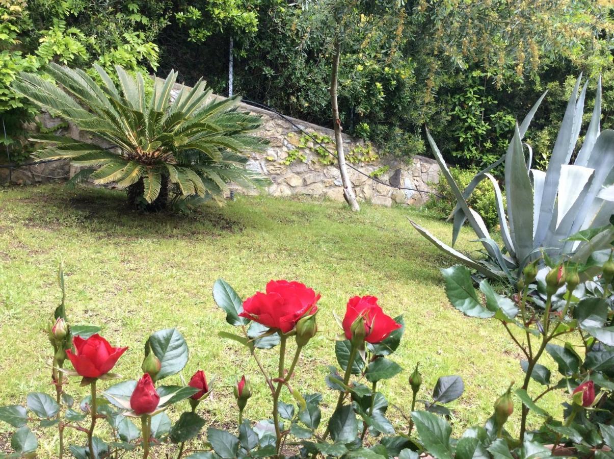 Tra Mare E Bosco Nella Splendida Quercianella Villa Kültér fotó